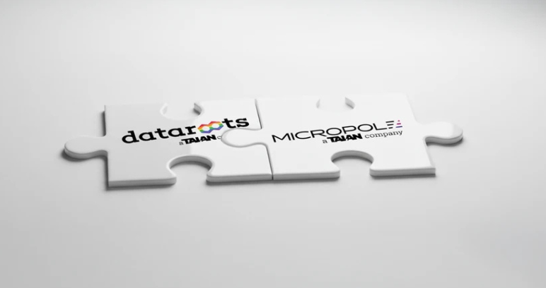 Talan en Belgique : façonner l'avenir de la Data, de l'IA et de la Transformation Business